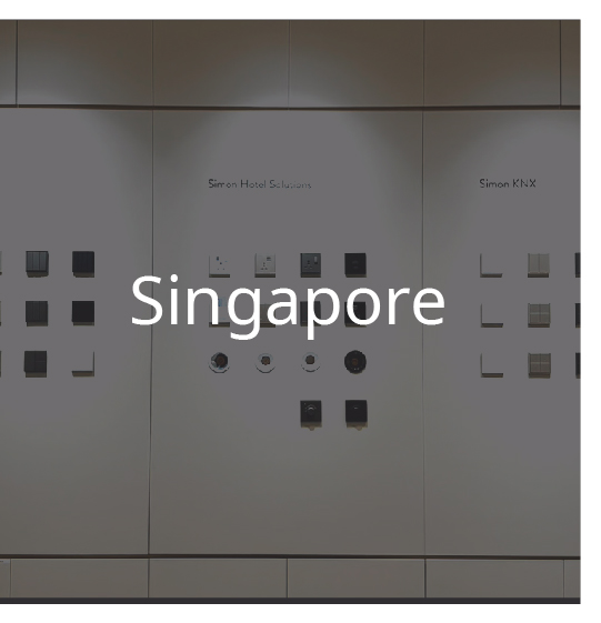 03 Singapore.jpg